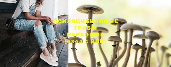 тгк Наволоки