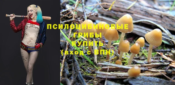 мдпв Навашино