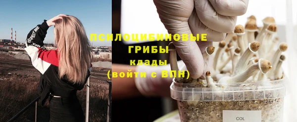 тгк Наволоки