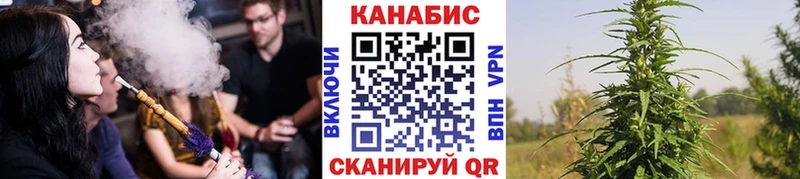 Купить закладки  Мариинский Посад  Каннабис планчик 